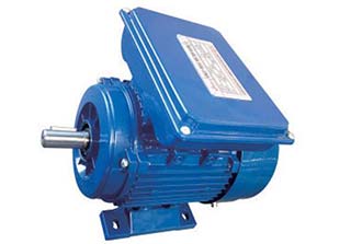 Y Series Single Phase AC Electric Motor